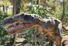 Dinopark - Dinosaur Park in Antalya Goynuk